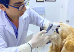 Egresado Herediano investiga terapias avanzadas para curar la ceguera irreversible en humanos y animales